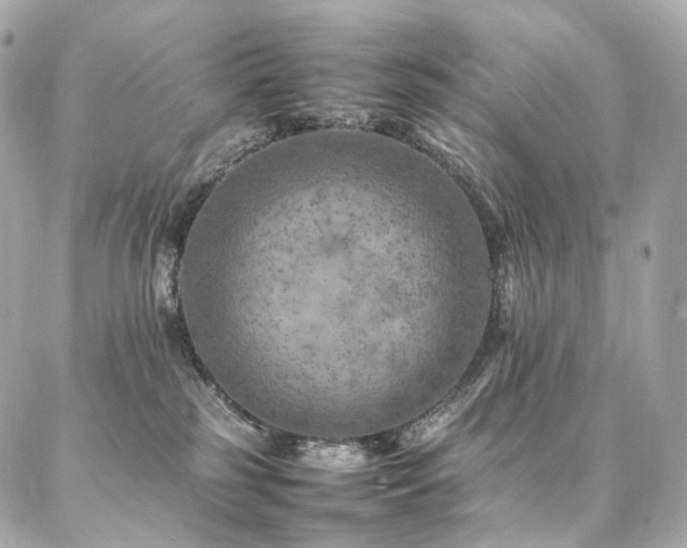 X0000086970185200704161552