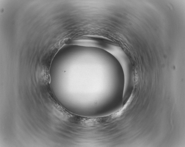 X0000086970186200704161552