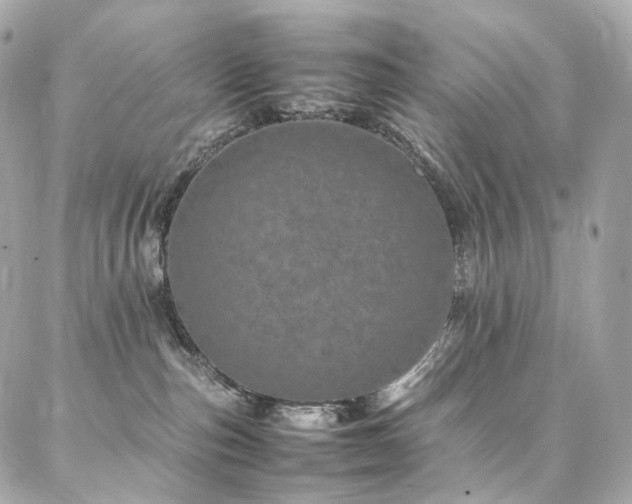 X0000086970187200704161552