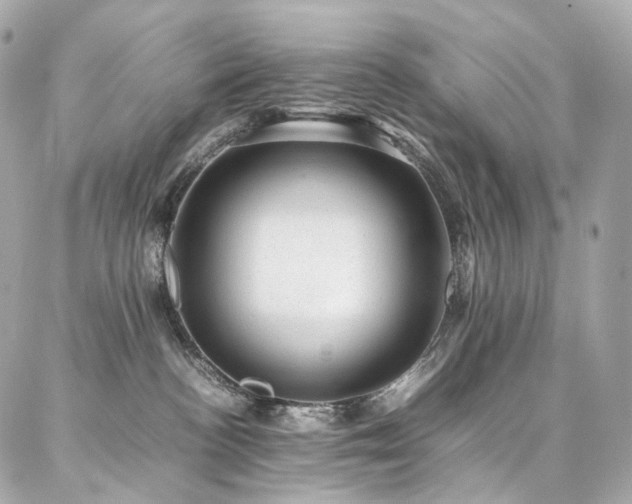 X0000086970188200704161553