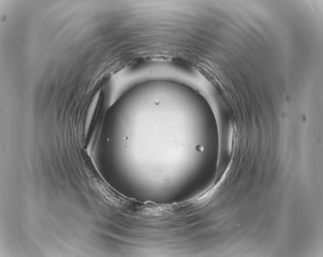 X0000086970190200704161553