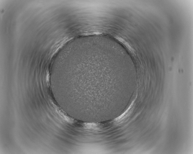 X0000086970192200704161553