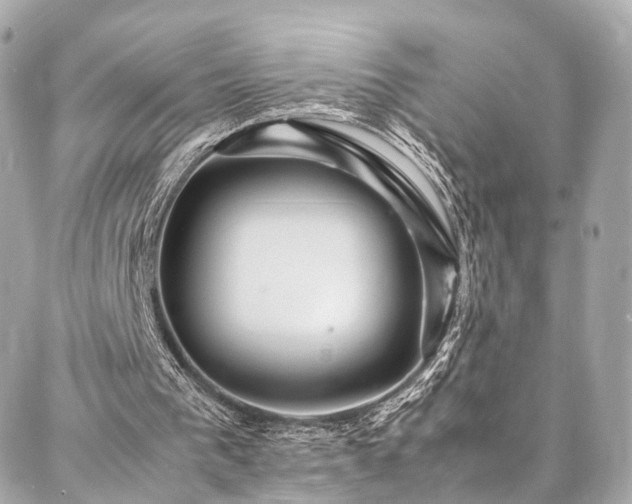 X0000086970193200704161552