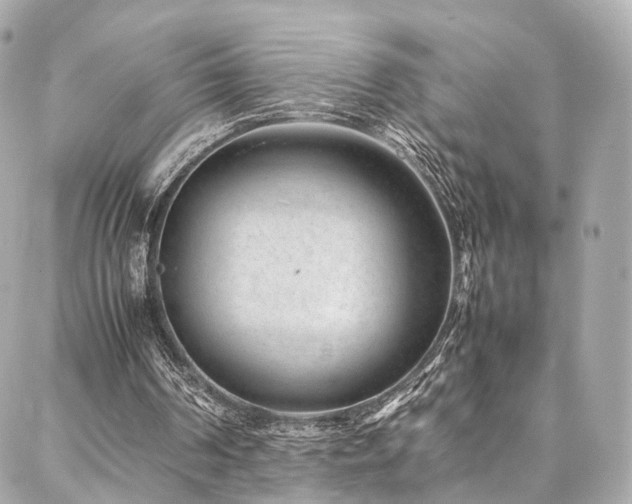 X0000086970194200704161552