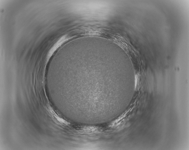 X0000086970195200704161552