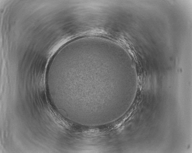 X0000086970196200704161552