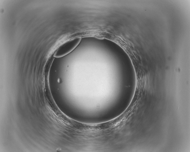 X0000086970198200704161552