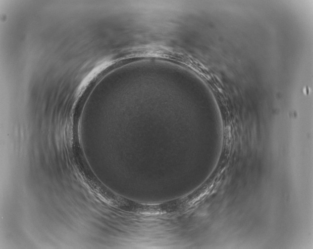 X0000086970200200704161552