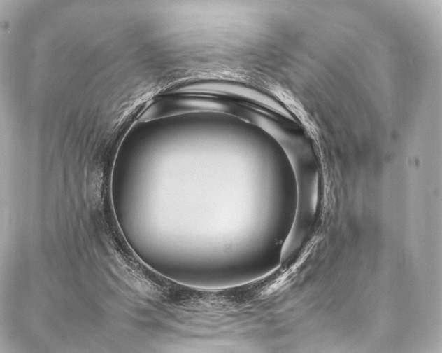 X0000086970201200704161552