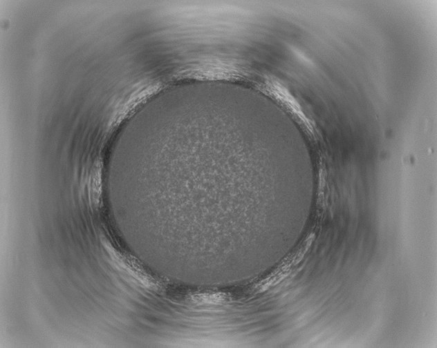 X0000086970202200704161552