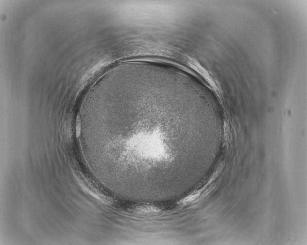 X0000086970203200704161552