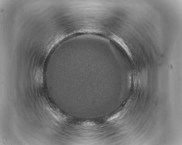 X0000086970204200704161552