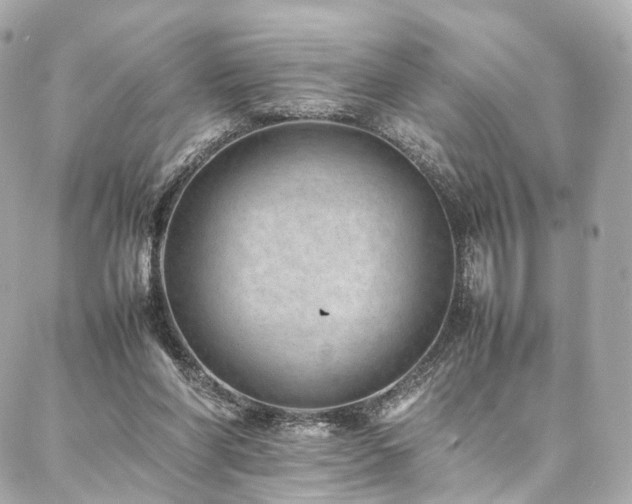 X0000086970206200704161552