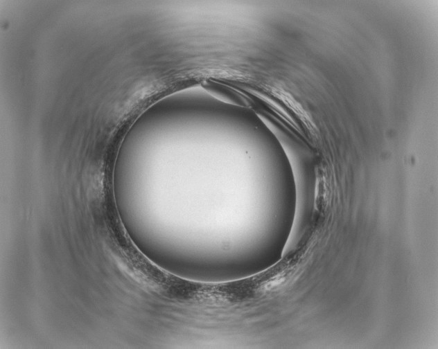 X0000086970207200704161552