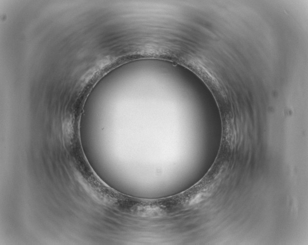 X0000086970208200704161552