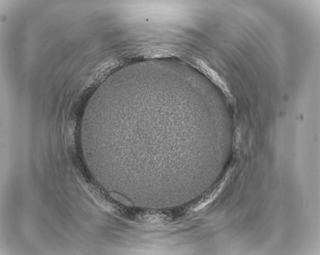 X0000086970209200704161552