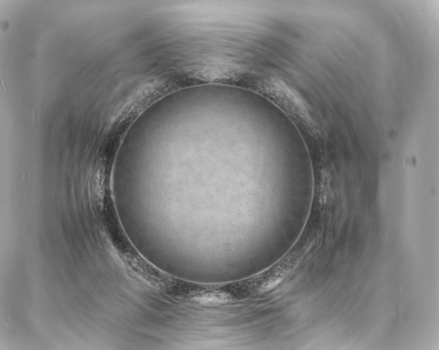 X0000086970210200704161552