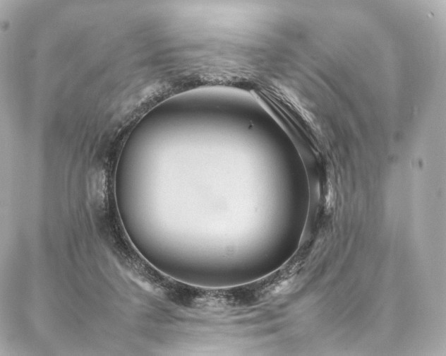 X0000086970211200704161552