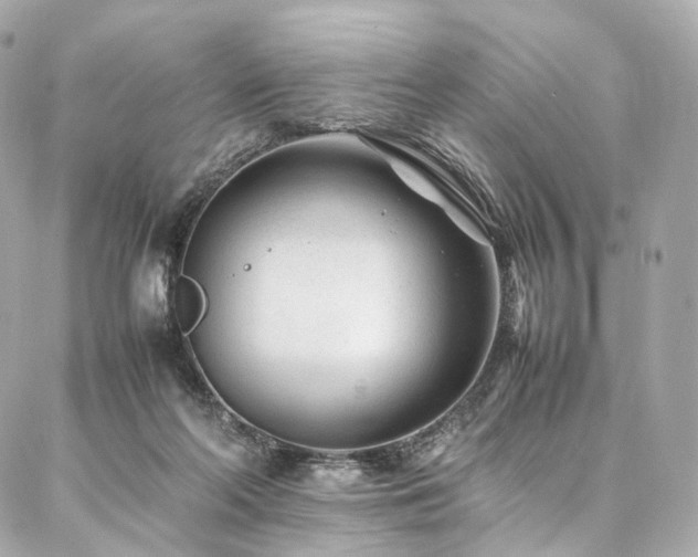 X0000086970214200704161551