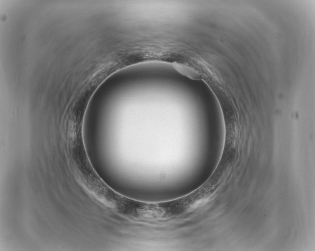 X0000086970215200704161551