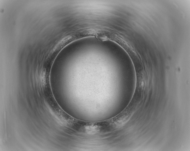 X0000086970216200704161551