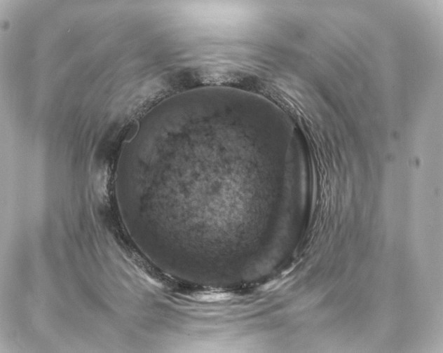 X0000086970219200704161551