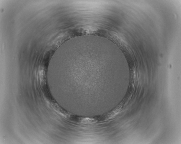 X0000086970222200704161551