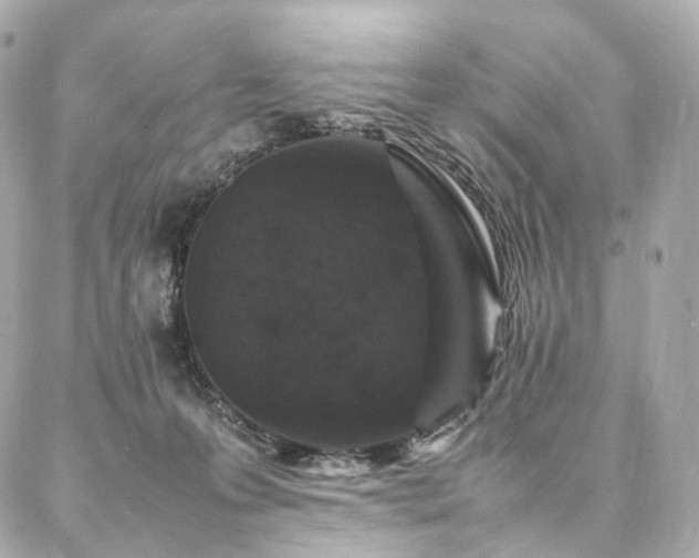 X0000086970223200704161551