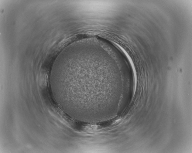 X0000086970227200704161551