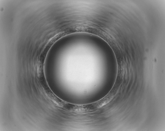 X0000086970228200704161551