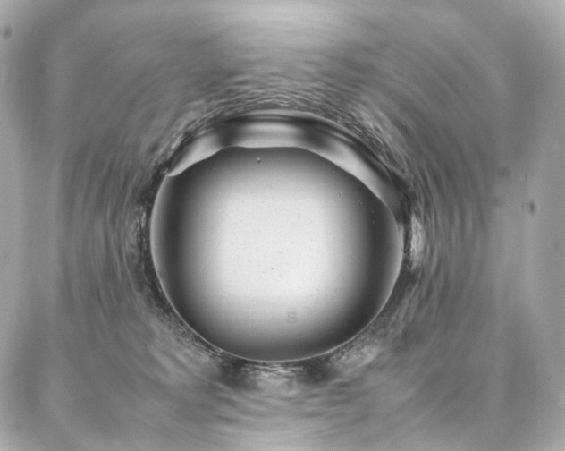 X0000086970229200704161551