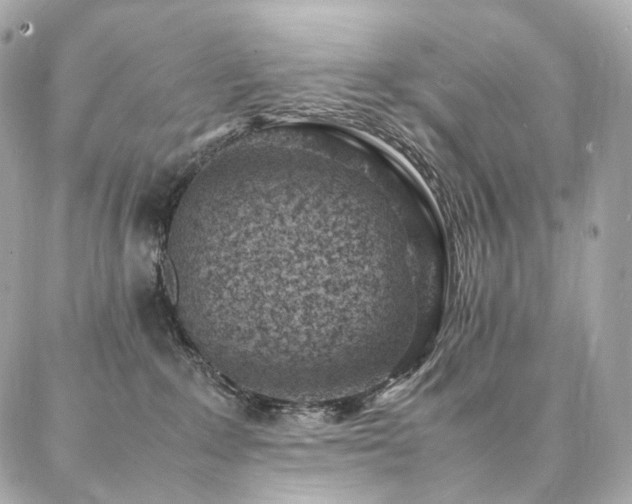 X0000086970235200704161551