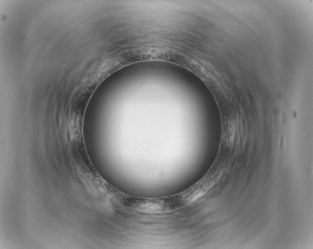 X0000086970236200704161551