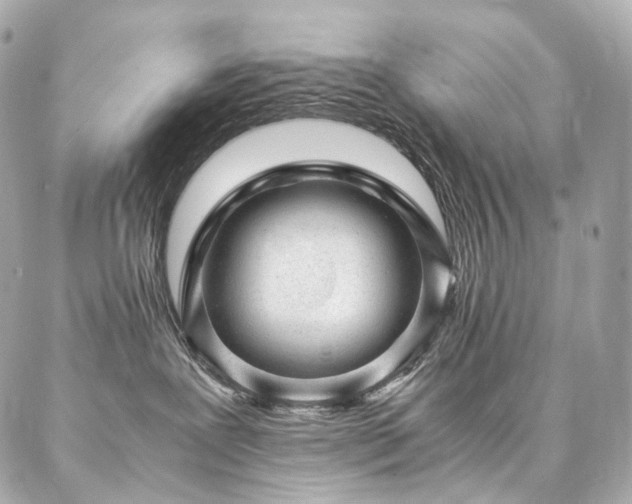 X0000086970239200704161551