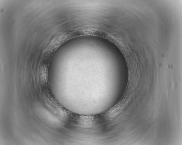 X0000086970240200704161551