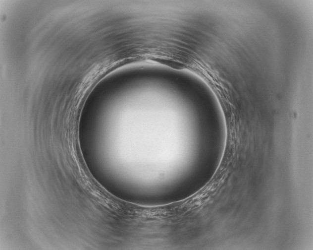 X0000086970241200704161550