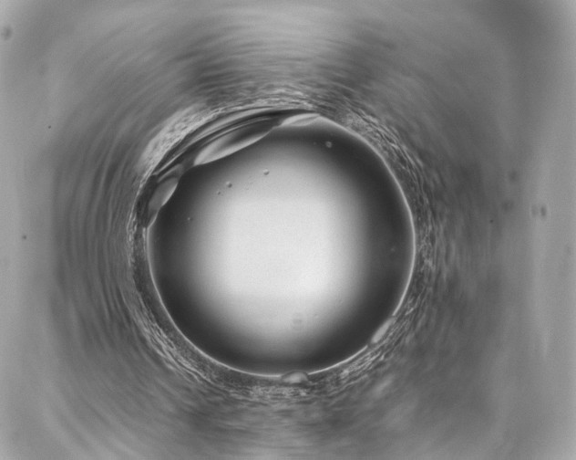 X0000086970242200704161550