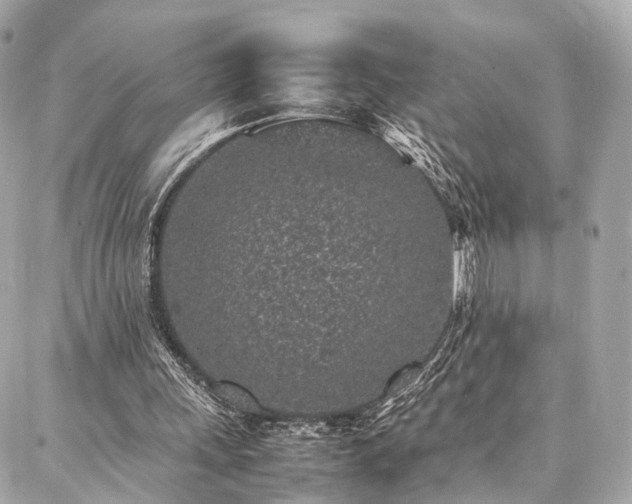 X0000086970243200704161550