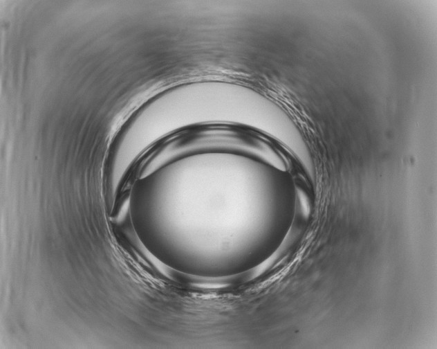 X0000086970244200704161550