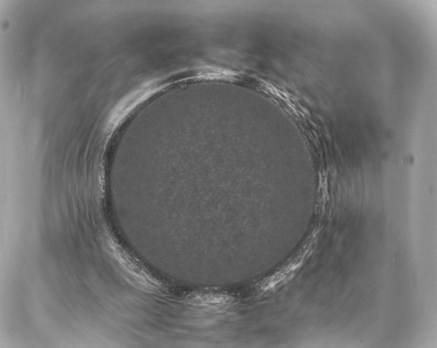 X0000086970247200704161550