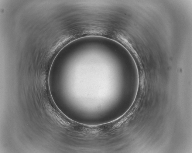 X0000086970249200704161550