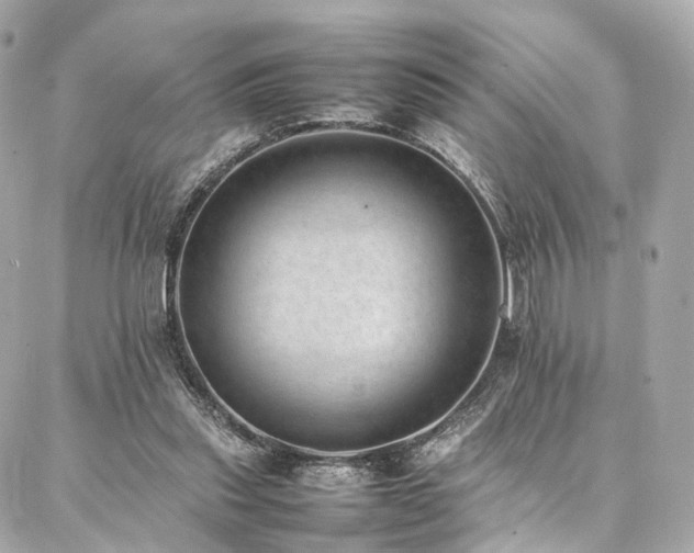 X0000086970253200704161550