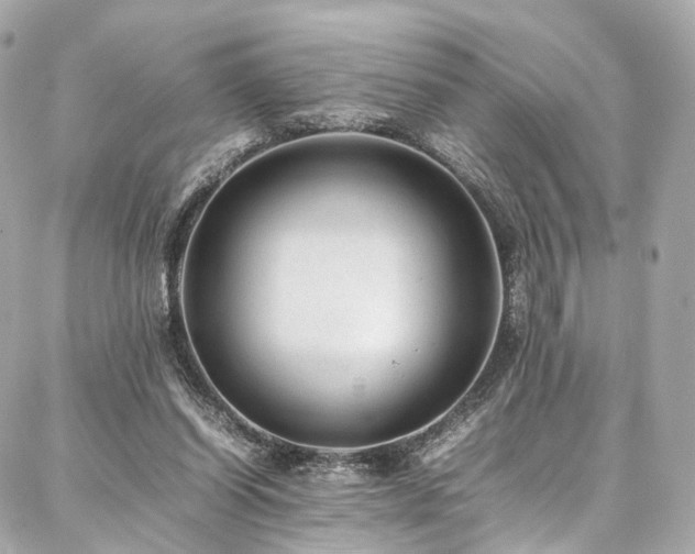 X0000086970254200704161550