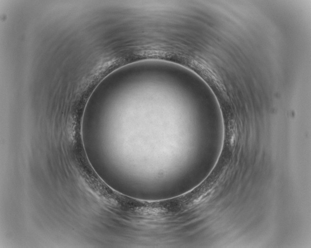 X0000086970255200704161550