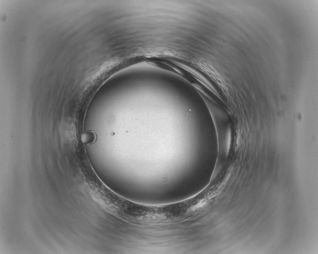 X0000086970256200704161550