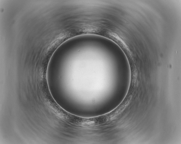 X0000086970257200704161551