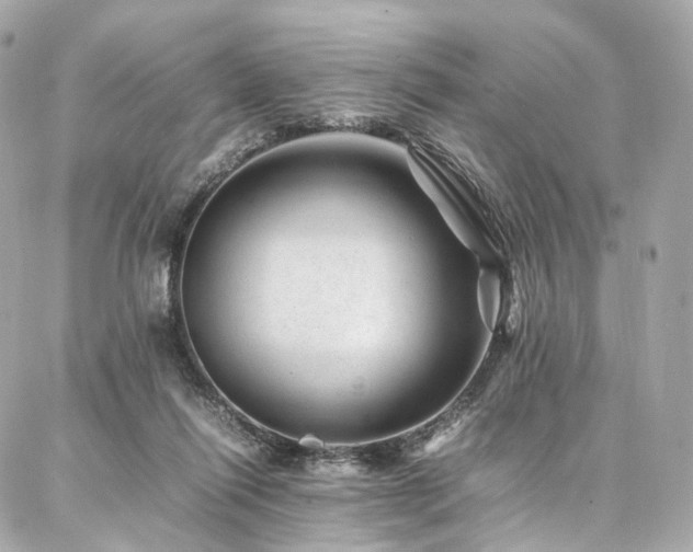 X0000086970262200704161551