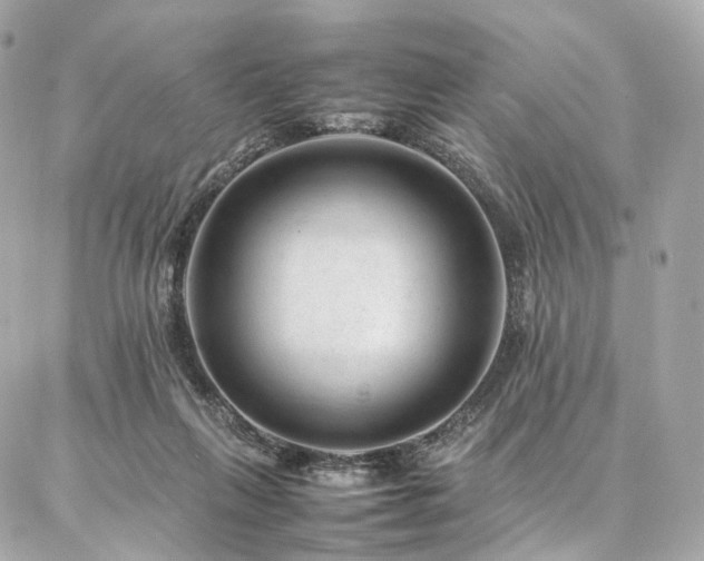 X0000086970263200704161551