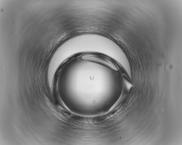 X0000086970264200704161551