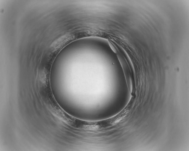 X0000086970266200704161551